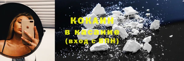 прущие грибы Абинск