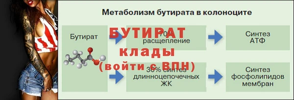 прущие грибы Абинск