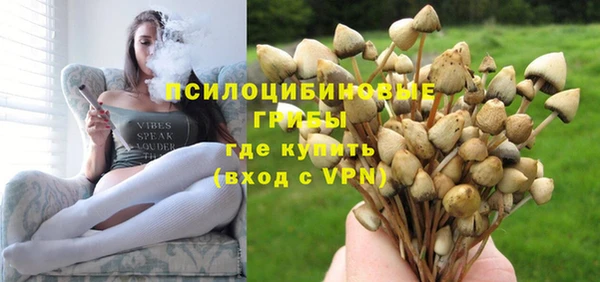 прущие грибы Абинск