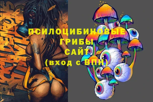 прущие грибы Абинск